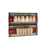 denti-acry plus-ruthinium Denti Acry plus a 4 strati cromatici - Prezzo in offerta per ordine minimo di 24 file o 6 bocche