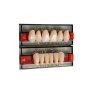 Denti Acry plus a 4 strati cromatici - Prezzo in offerta per ordine minimo di 24 file o 6 bocche