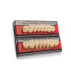 denti-acry plus-ruthinium-m Denti Acry plus a 4 strati cromatici - Prezzo in offerta per ordine minimo di 24 file o 6 bocche