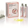 Gingifast Rigid-2 cartucce da 50 ml-mascherina gengivale Zhermack-C401520 Gingifast Rigid 2 cartucce da 50 ml mascherina gengivale Zhermack C401520